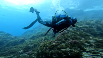 Açores com maior rede de Áreas Marinhas Protegidas do Atlântico Norte