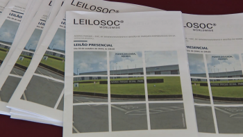 Leilão Azores Parque: Apenas um lote vendido dos oito disponíveis