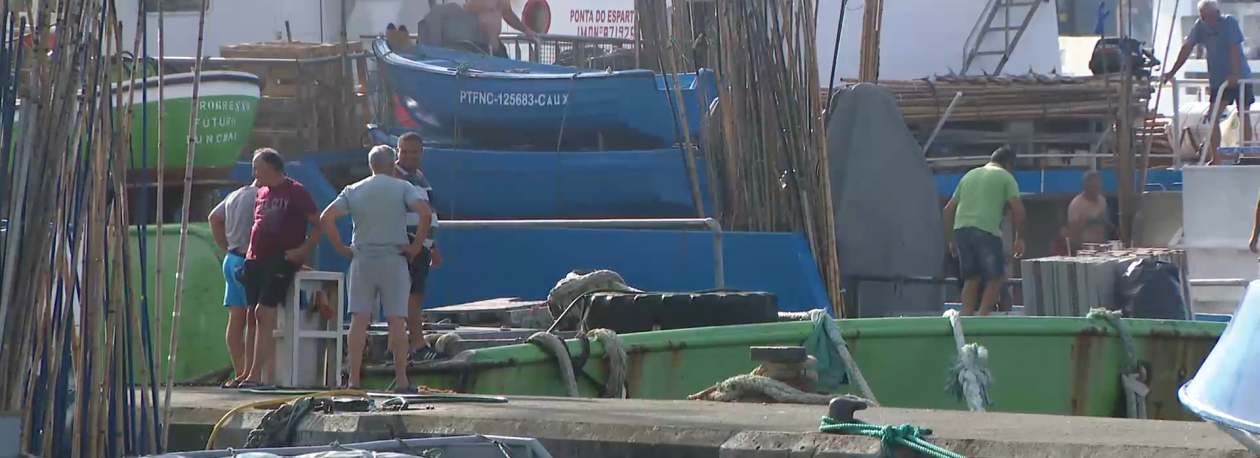 Imagem de Associação de Comerciantes de Pescado contra agravamento de taxas na SATA