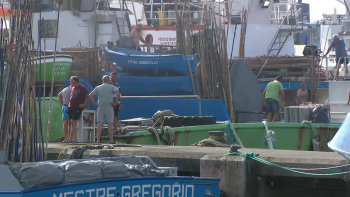 Madeira e Açores unem esforços para conseguir mais apoios ao setor das pescas