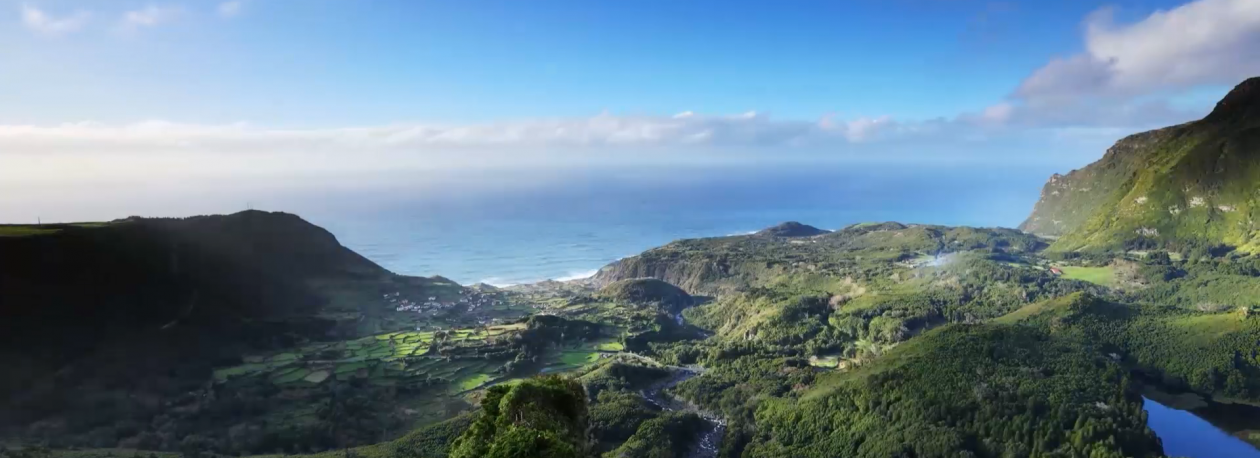 Imagem de Projeto Quiet Nature alerta para a importância da saúde mental