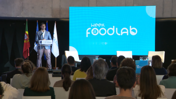 Week Food Lab decorre em Ponta Delgada e pretende formar chefs regionais 