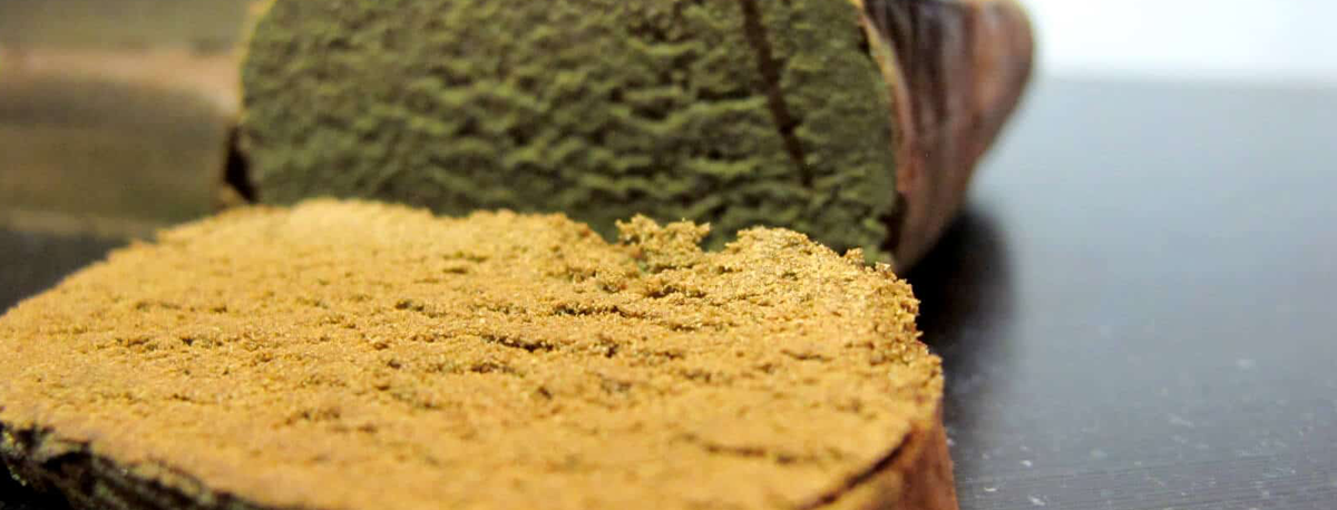 Imagem de Dois detidos com 23.800 doses de haxixe em São Miguel