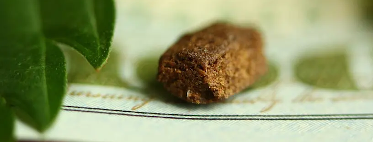 Imagem de Prisão preventiva para detido por ligação a rede de tráfico de droga para os Açores