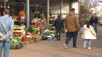 Mercado de Santana abriu pela primeira vez na Véspera de Natal