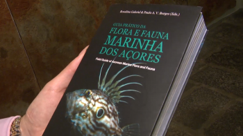 ‘Flora e Fauna Marinha dos Açores’ é o último volume de uma coleção de guias práticos sobre biodiversidade e geodiversidade