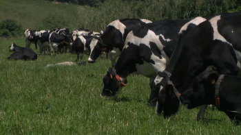 PSD defende que Governo tem impulsionado o setor agrícola