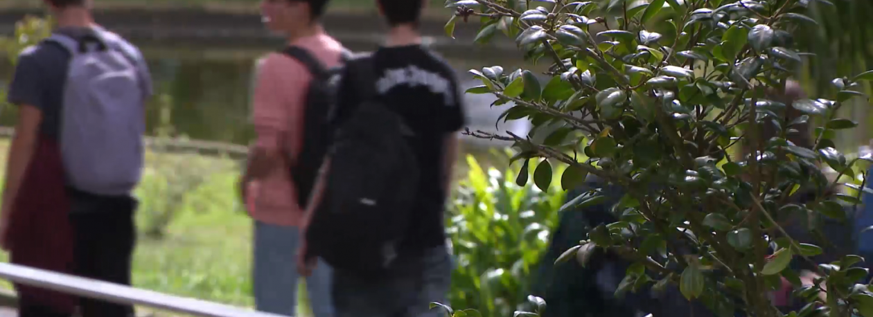 Mais de 1700 estudantes universitários aguardam pagamento de bolsas