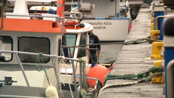 Federação das Pescas diz que setor enfrenta os maiores desafios de sempre