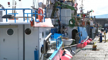 Federação das pescas contra aplicação do novo modelo de descontos para segurança social dos pescadores