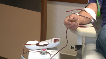 Imagem de Movimento de Romeiros de São Miguel promove dádiva de sangue no HDES