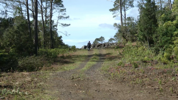 Imagem de Obra do Parque Empresarial das Lajes do Pico conta com 20 lotes