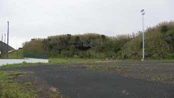 Imagem de Parque Invernagem Horta: PS exige que Governo Regional dê explicações