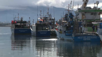 Imagem de Federação das Pescas não quer cortes no orçamento do próximo ano