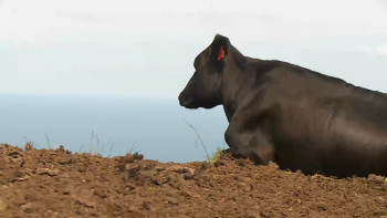 Imagem de Federação Agrícola pede avaliações ambientais mais rápidas para projetos 