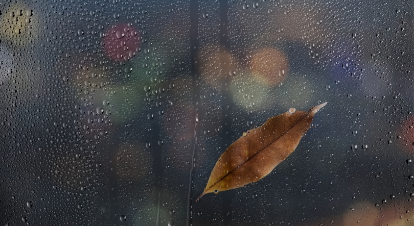 Imagem de Mau tempo: IPMA estende aviso amarelo a todo o arquipélago devido ao vento