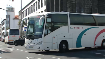 Imagem de Sónia Nicolau defende criação de central de camionagem em Ponta Delgada