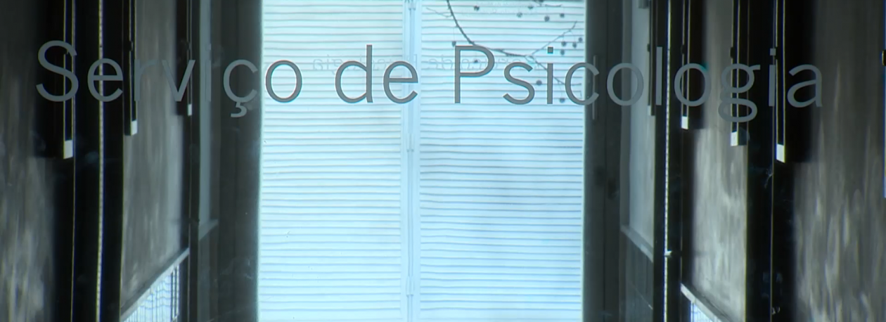Imagem de Psicólogos e Assistentes Sociais das IPSS exigem salários iguais aos da função pública