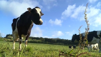 Imagem de Secretário da Agricultura admite novas negociações para pagamento dos rateios do POSEI