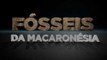Imagem de Fósseis da Macaronésia