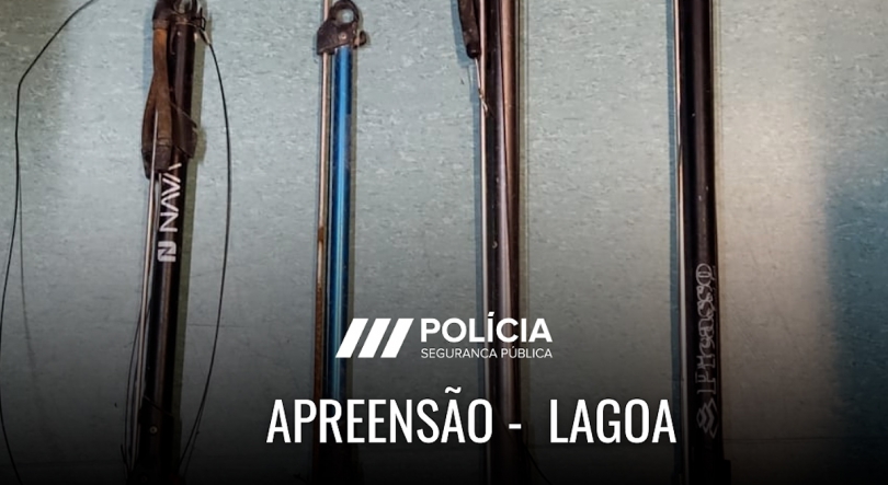 Imagem de PSP detém homem por ameaças de morte à família com armas submarinas