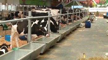 Imagem de Abriu portas a Agroter, a Feira Agrícola da Terceira 