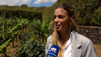 Imagem de Daniela Lourenço vence 5ª edição do prémio TalentA com projeto de café
