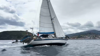 Imagem de Veleiro Norberto Serpa termina na marina da Horta uma viagem à volta do mundo