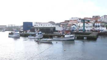 Imagem de Federação das Pescas e Okeanos ouvidos acerca da quota do goraz