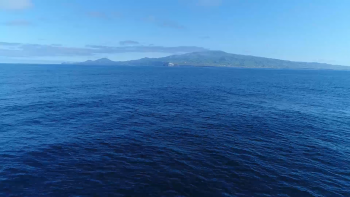 Imagem de Açores levam a Nice a maior zona marítima protegida do Atlântico Norte
