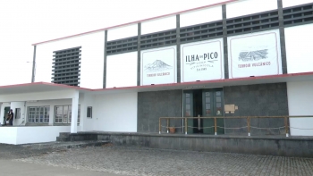 Imagem de Cooperativa Vitivinícola do Pico vai investir 1M€ para readaptar edifício sede