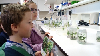 Imagem de Dia do Fascínio das Plantas junta crianças no Centro de Biotecnologia dos Açores