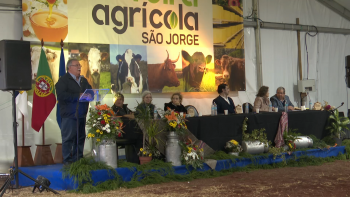Imagem de Jorge Rita: Agricultura açoriana enfrenta desafios com decisões de Trump