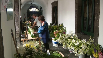 Imagem de Voluntários preparam os arranjos florais para as Festas do Senhor Santo Cristo dos Milagres