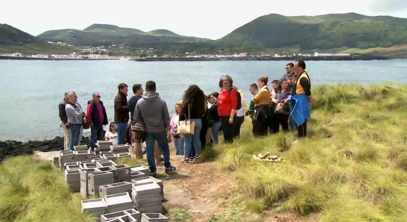 Imagem de Vigilantes da Natureza recebem formação no ilhéu da Praia