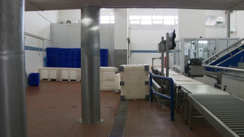 Imagem de Lotaçor com resultados negativos em 2024