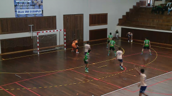 Imagem de Lusitânia despede-se da Primeira Divisão de Futsal com derrota