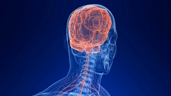 Imagem de Neuromodulação começa a ser aplicada este mês a doentes de Machado-Joseph