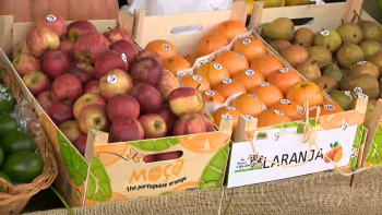 Imagem de Bolieiro garante pagamento célere de apoios agrícolas em atraso
