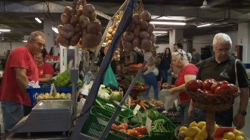 Imagem de CM Ponta Delgada aprova indemnização a comerciante do Mercado da Graça