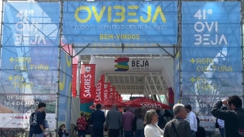 Imagem de Açores são a região convidada da 41.ª edição da Ovibeja