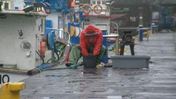 Imagem de Secretário Regional das Pescas contra proposta do Chega sobre pesca de goraz