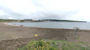 Imagem de Grupo Marine Waste On Terceira Island recolhe três toneladas de lixo por ano