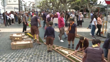 Imagem de Centenas de voluntários colaboram na elaboração dos tapetes de flores