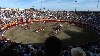 Imagem de 1ª corrida Sanjoaninas: Joaquim Brito Paes e João Vitorino conquistam prémios