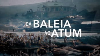 Imagem de Lajes do Pico acolhe antestreia do documentário ‘Da Baleia ao Atum’