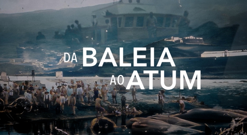 Imagem de Lajes do Pico acolhe antestreia do documentário 'Da Baleia ao Atum'