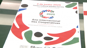 Imagem de Ano Internacional das Cooperativas: CESA Defende Federação Regional