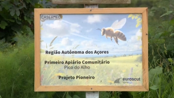 Imagem de Inaugurado primeiro apiário comunitário da Região