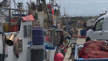 Imagem de Pescadores de Santa Maria bloqueiam descargas no entreposto frigorífico